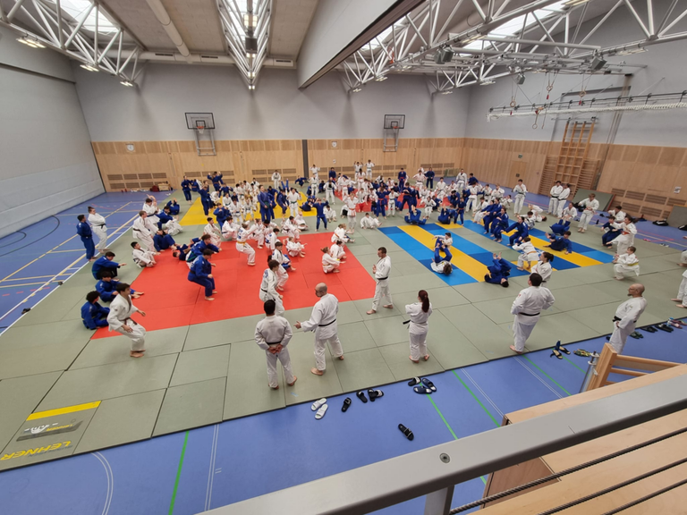 Trainingstag in Linz